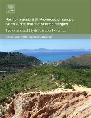 Permo-Triassic Salt Provinces of Europe, North Africa and the Atlantic Margins: Tectonics and Hydrocarbon Potential de Juan I. Soto