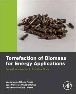 Torrefaction of Biomass for Energy Applications: From Fundamentals to Industrial Scale de Leonel JR Nunes