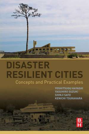 Disaster Resilient Cities: Concepts and Practical Examples de Yoshitsugu Hayashi