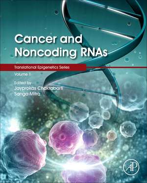 Cancer and Noncoding RNAs de Jayprokas Chakrabarti