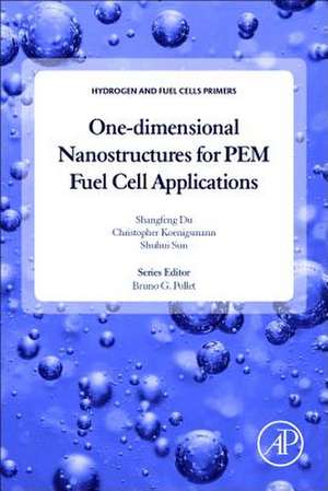 One-dimensional Nanostructures for PEM Fuel Cell Applications de Shangfeng Du