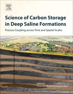 Science of Carbon Storage in Deep Saline Formations: Process Coupling across Time and Spatial Scales de Pania Newell