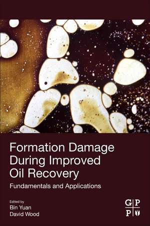 Formation Damage during Improved Oil Recovery: Fundamentals and Applications de Bin Yuan