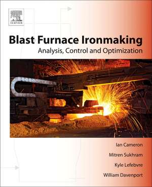 Blast Furnace Ironmaking: Analysis, Control, and Optimization de Ian Cameron