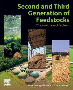 Second and Third Generation of Feedstocks: The Evolution of Biofuels de Angelo Basile