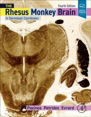 The Rhesus Monkey Brain in Stereotaxic Coordinates de George Paxinos