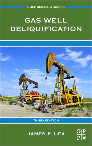 Gas Well Deliquification de James F. Lea Jr.