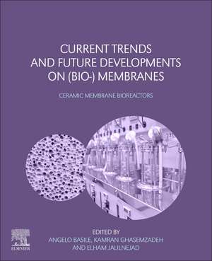 Current Trends and Future Developments on (Bio-) Membranes: Ceramic Membrane Bioreactors de Angelo Basile