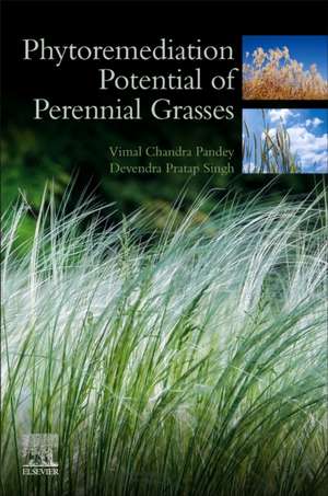 Phytoremediation Potential of Perennial Grasses de D.P. Singh