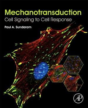 Mechanotransduction: Cell Signaling to Cell Response de Paul A. Sundaram