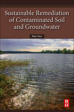 Sustainable Remediation of Contaminated Soil and Groundwater: Materials, Processes, and Assessment de Deyi Hou