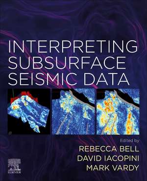 Interpreting Subsurface Seismic Data de Rebecca Bell