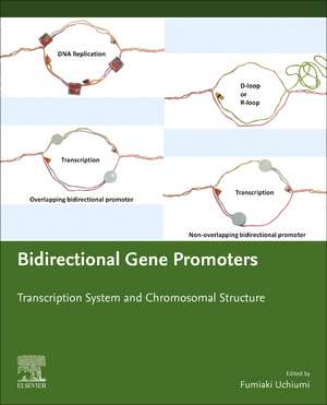 Bidirectional Gene Promoters: Transcription system and chromosomal structure de Fumiaki Uchiumi