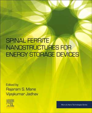 Spinel Ferrite Nanostructures for Energy Storage Devices de Rajaram S. Mane