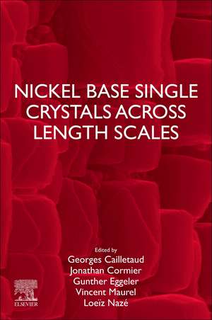 Nickel Base Single Crystals Across Length Scales de Loeïz Nazé