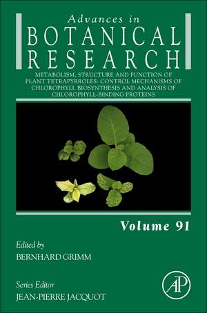 Metabolism, Structure and Function of Plant Tetrapyrroles: Control Mechanisms of Chlorophyll Biosynthesis and Analysis of Chlorophyll-Binding Proteins de Bernhard Grimm