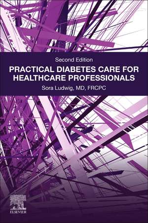 Practical Diabetes Care for Healthcare Professionals de Sora Ludwig