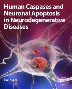 Human Caspases and Neuronal Apoptosis in Neurodegenerative Diseases de Anil Gupta