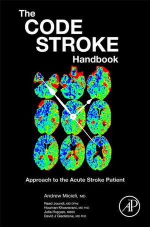 The Code Stroke Handbook: Approach to the Acute Stroke Patient de Andrew Micieli