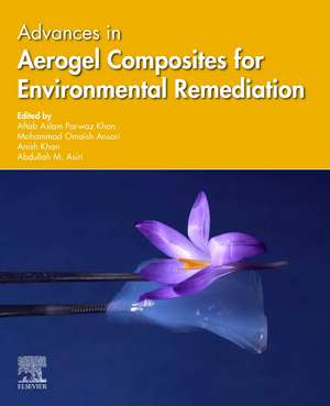 Advances in Aerogel Composites for Environmental Remediation de Aftab Aslam Parwaz Khan