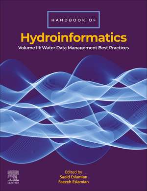 Handbook of HydroInformatics: Volume III: Water Data Management Best Practices de Saeid Eslamian