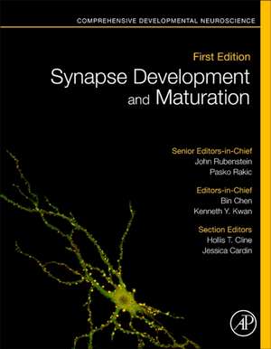 Synapse Development and Maturation: Comprehensive Developmental Neuroscience de Pasko Rakic