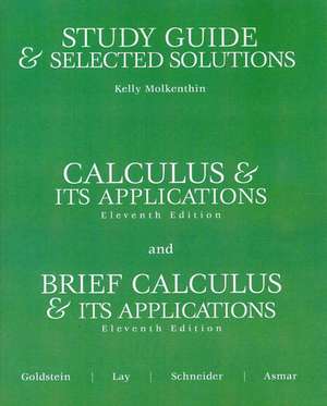 Study Guide and Selected Solutions de David Lay