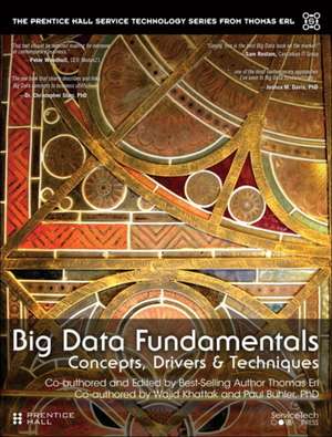 Big Data Fundamentals: Concepts, Drivers & Techniques de Thomas Erl