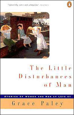 The Little Disturbances of Man de Grace Paley