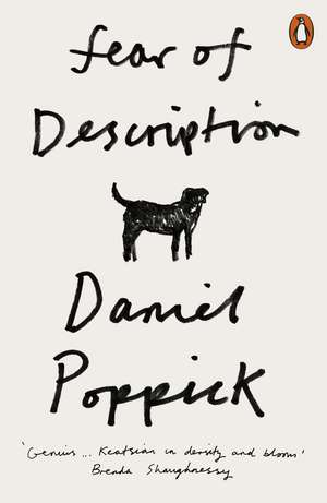 Fear of Description de Daniel Poppick