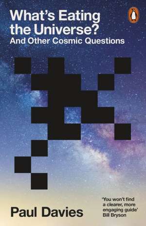 What's Eating the Universe? de Paul Davies