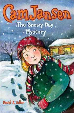 The Snowy Day Mystery de David A Adler