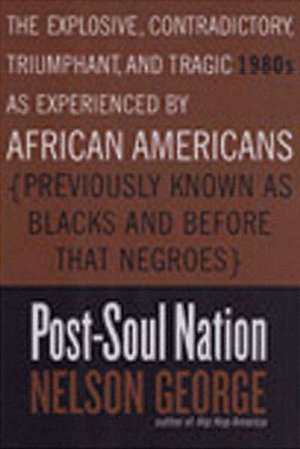 Post-Soul Nation de Nelson George