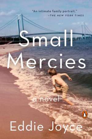 Small Mercies de Eddie Joyce