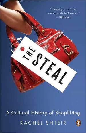 The Steal: A Cultural History of Shoplifting de Rachel Shteir