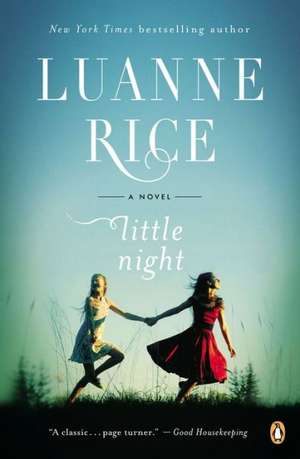 Little Night de Luanne Rice