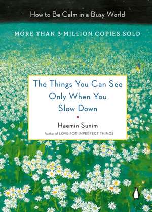 The Things You Can See Only When You Slow Down de Haemin Sunim