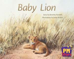 Baby Lion PM Stars Red Narratives