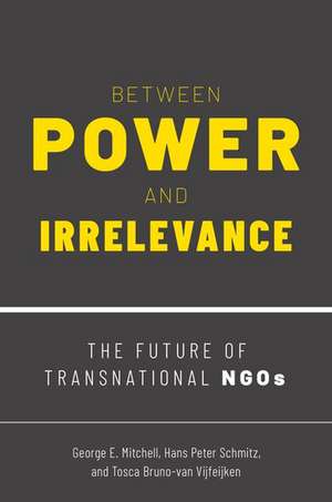 Between Power and Irrelevance: The Future of Transnational NGOs de George E. Mitchell