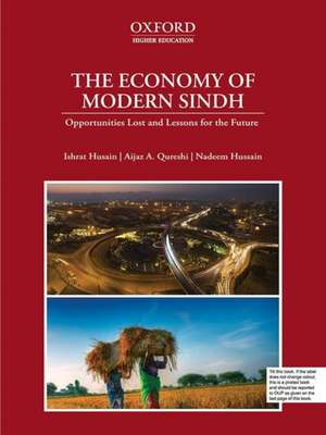 The Economy of Modern Sindh: Opportunities Lost and Lessons for the Future de Ishrat Husain