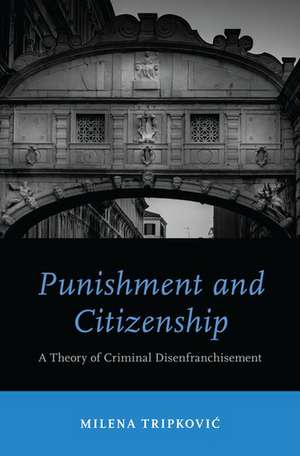 Punishment and Citizenship: A Theory of Criminal Disenfranchisement de Milena Tripkovic