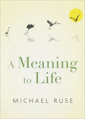 A Meaning to Life de Michael Ruse