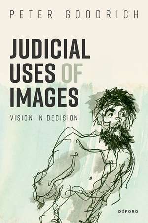 Judicial Uses of Images: Vision in Decision de Peter Goodrich