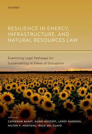 Resilience in Energy, Infrastructure, and Natural Resources Law: Examining Legal Pathways for Sustainability in Times of Disruption de Catherine Banet