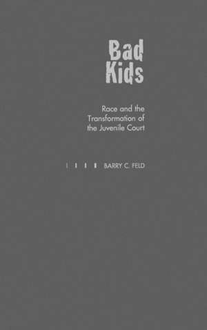 Bad Kids: Race and the Transformation of the Juvenile Court de Barry C. Feld