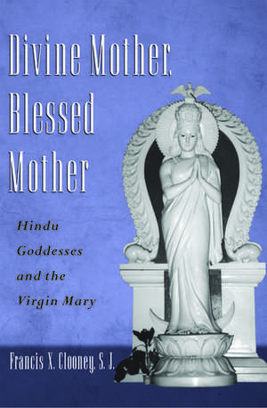 Divine Mother, Blessed Mother: Hindu Goddesses and the Virgin Mary de Francis X. Clooney