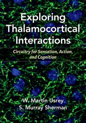 Exploring Thalamocortical Interactions: Circuitry for Sensation, Action, and Cognition de W. Martin Usrey