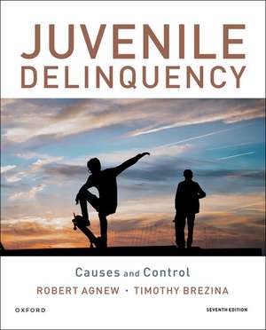 Juvenile Delinquency: Causes and Control de Robert Agnew