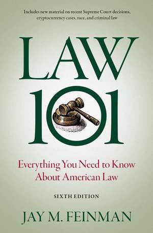 Law 101: Everything You Need to Know About American Law de Jay M. Feinman