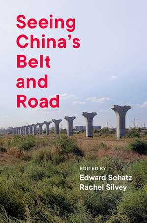 Seeing China's Belt and Road de Edward Schatz